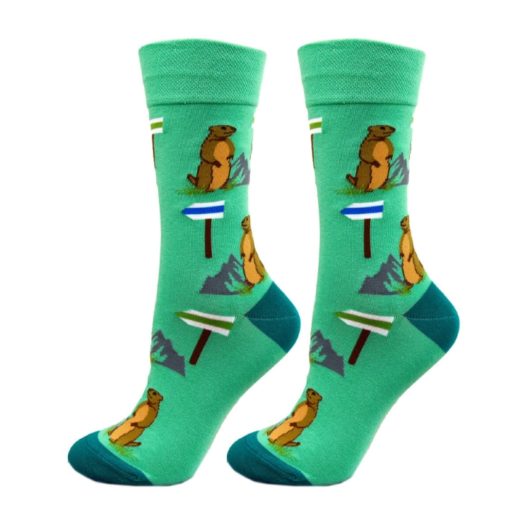 skarpetki-damskie-dlugie-ze-swistakiem