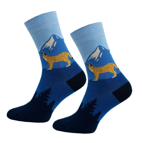 skarpetki-dlugie-meskie-rys-39-42