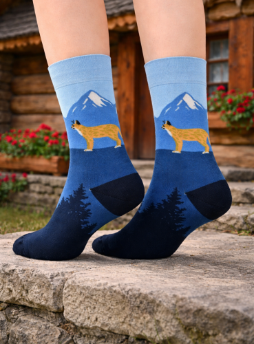 skarpetki-dlugie-meskie-rys-rozmiar-39-42