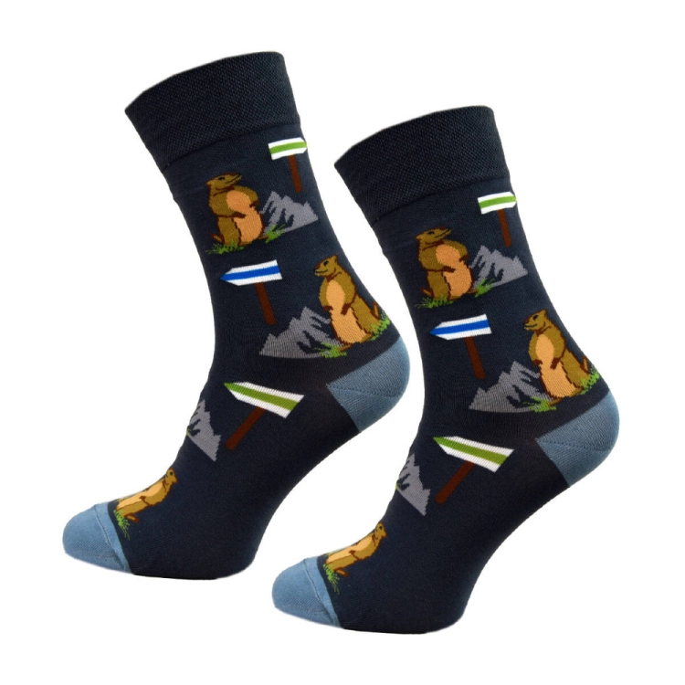 skarpetki-meskie-dlugie-swistak