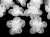 spinka-zabka-z-bialym-kwiatem-2-5-cm