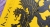 Herb drewniany gryf kaszubski3.jpg